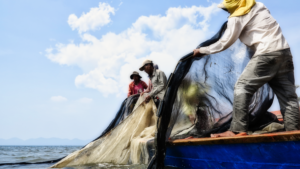 Cambodia Fisherman